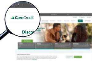 a magnifying glass over the CareCredit logo