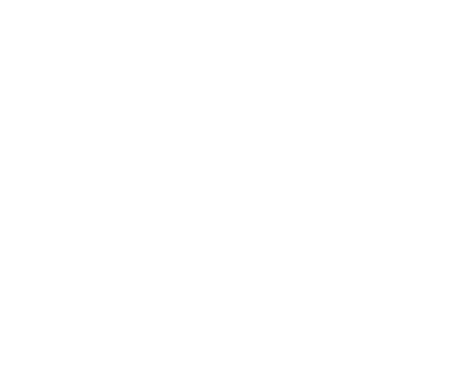 Daily Smiles Dental Dallas logo