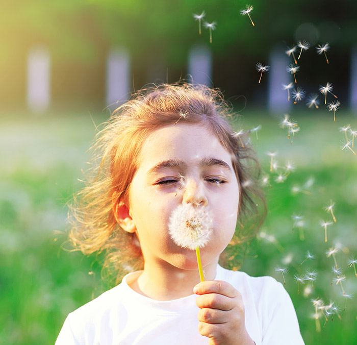Little girl blowing dandelion outside